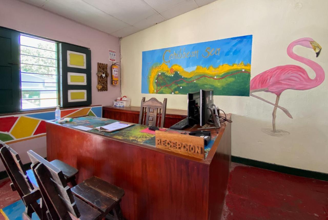 Hostel Villa Mary تاجانجا المظهر الخارجي الصورة